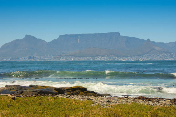 istock View of Cape Town and the Table from Robben Island 1890003286