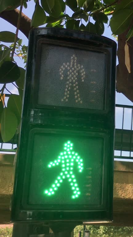 Walk signal