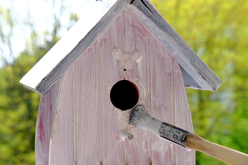 preparing a birdhouse for the new spring season, painting the house white with a paint brush, large strokes on the surface, the concept of a bird's housewarming, helping animals