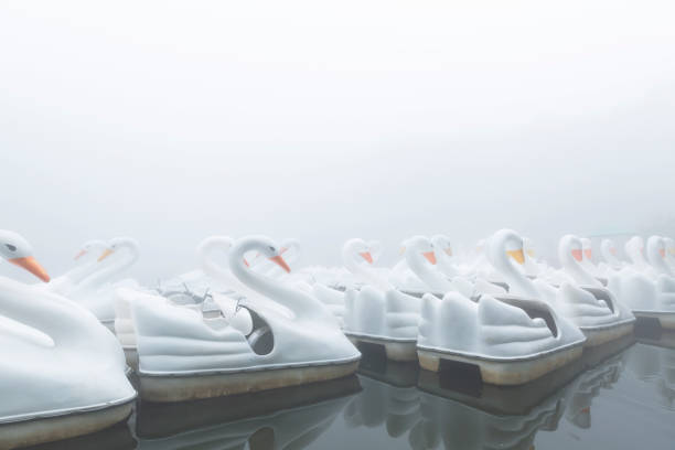 istock Pedal boats on the lake. 1890199613