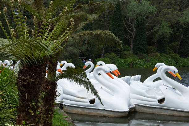 istock Pedal boats on the lake. 1890200133