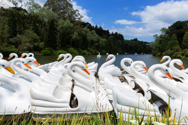 istock Pedal boats on the lake. 1890200644