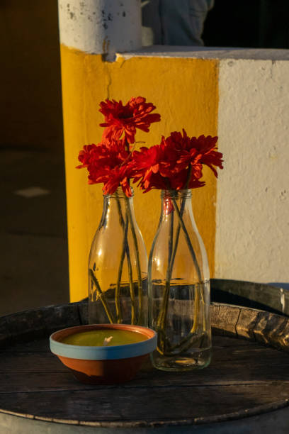 fiori colorati in bottiglie riutilizzate. - candle lemon grass insect repellant insect foto e immagini stock
