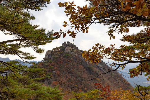 beautiful bukhansan national park, seoul  area, south korea.
