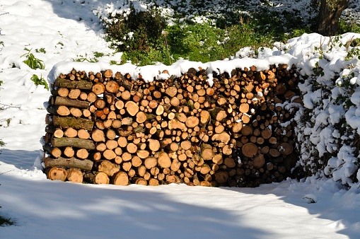 Pile of wood covered in snow