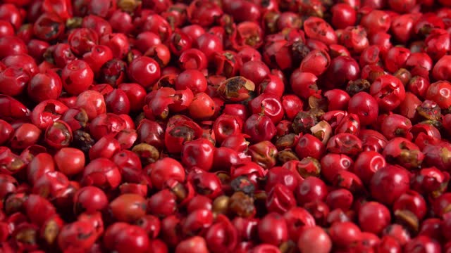 Pink peppercorns or himalayan red pepper berries rotating background close up side view. Spice is known as peruvian peppertree or brazilian pepper