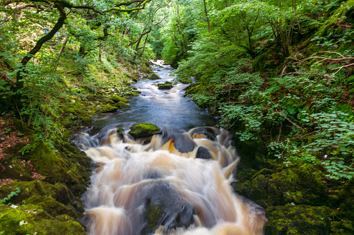 Long exposure of brown, iron-rich water rushing over a waterfall in the Yorkshire Dales National Park, England.