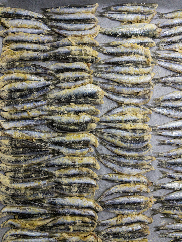 Small fish lined up on a tray for baking in the oven.