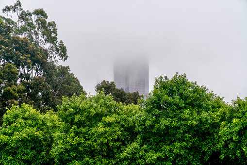 skyscraper in fog melbourne city