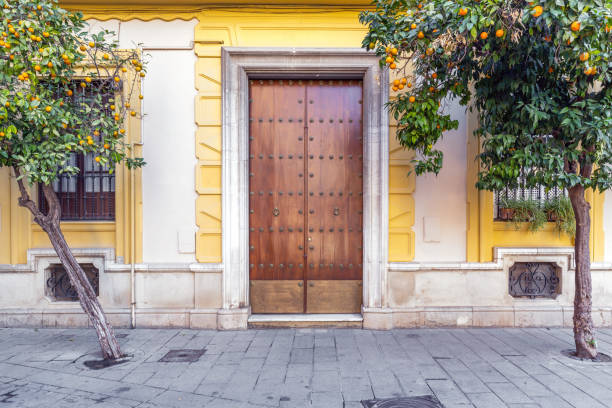 Old wooden door in old town of Seville