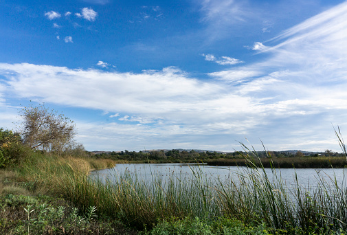 View over a blue pond in the San Joaquin Wildlife Sanctuary located in Irvine, California