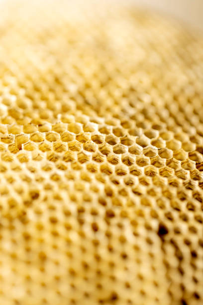 istock Hexagon Honeycomb close-up 1890411388