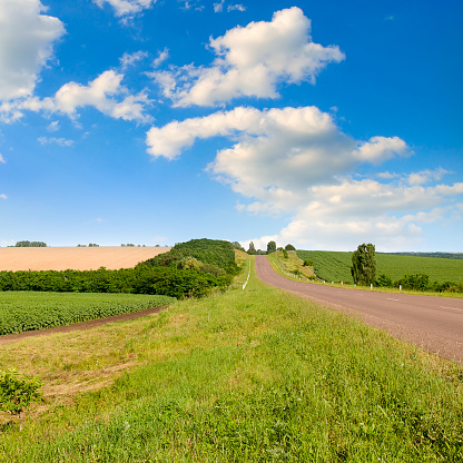 Agricultural fields and blue sky with beautiful clouds.