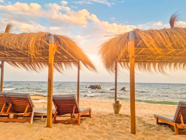 istock Landscape in a beach in Hammamet, Tunisia 1890452668