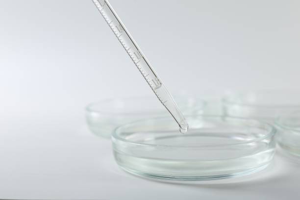 istock Dripping liquid from pipette into petri dish on light background, closeup 1890482321