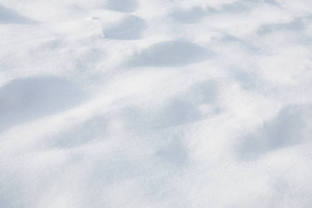 istock White snow as background, closeup. Winter season 1890496289