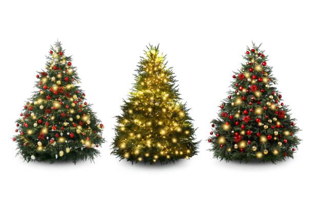 istock Christmas trees decorated with ornaments and festive lights isolated on white, set 1890508247