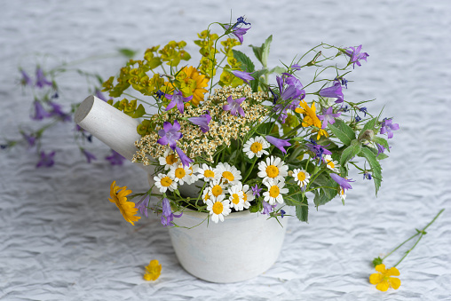 Colorful variety of beautiful field flowers in white vase on white background