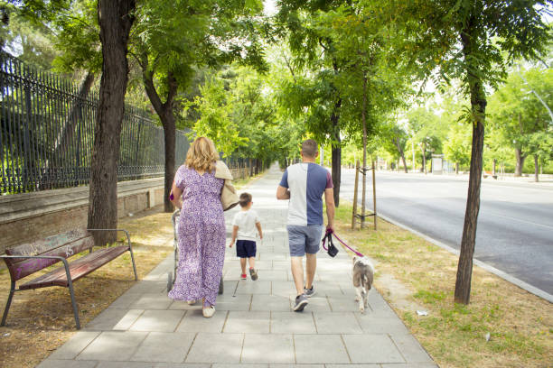 Happy family walking in the summer park and holding hands. Back view.
