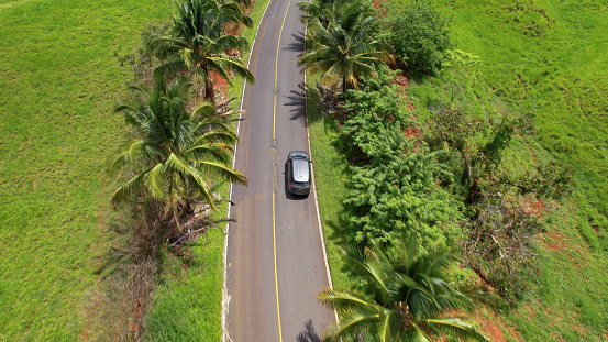 AERIAL: Driving among palm trees in beautiful tropical landscape on a sunny day. Stunning travel destination for holiday road trip. Winding asphalt roadway with potholes in the middle of tropics.