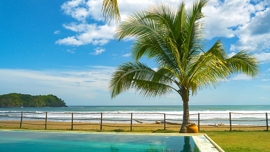 A dreamy scene with an infinity pool and palm tree next to beautiful ocean beach. Picturesque location of a beachfront resort with swimming pool. Relaxing holiday retreat in sunny tropical paradise.