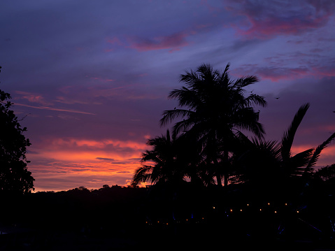 SILHOUETTE: Dramatic colors of clouds at twilight over a tropical palm tree. An incredible color show of nature in early evening sky above lush exotic tree on tourist destination by Pacific Ocean.