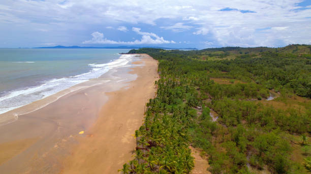 istock AERIAL: Magnificent sandy beach between lush palm trees and blue Pacific ocean 1890564942