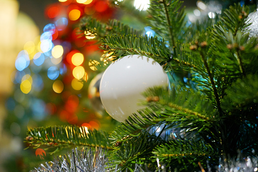 Close up view of Christmas balls on outdoor live Christmas trees with bokeh effect.