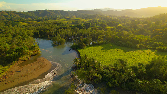 AERIAL Jungle river outflow with incoming tidal waves in misty morning light. Picturesque location where river meets ocean in Panama. Slow flowing tropical river among lush growing vibrant green trees