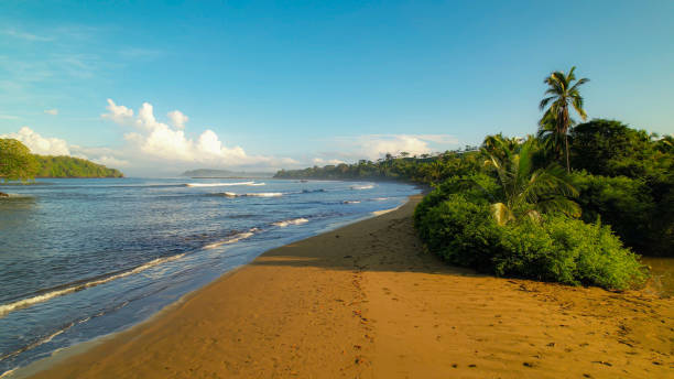 istock Peaceful morning on an empty tropical sandy beach with beautiful breaking waves 1890574856