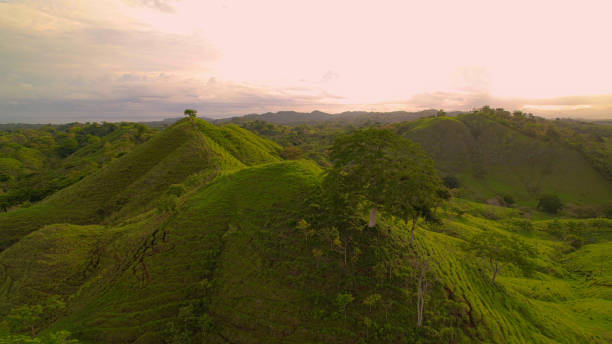 istock AERIAL: Beautiful golden sunlight casting shadows across grassy hilly landscape 1890575934