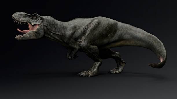 istock Tyrannosaurus Rex Stan render of background. 3d rendering 1890580113