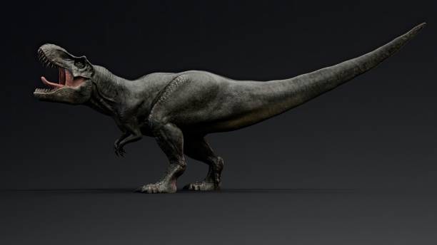istock Tyrannosaurus Rex Stan render of background. 3d rendering 1890580620