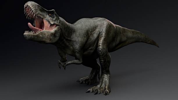 istock Tyrannosaurus Rex Stan render of background. 3d rendering 1890580621