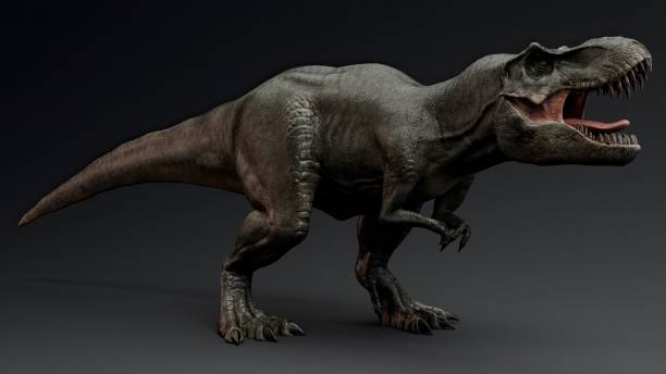 istock Tyrannosaurus Rex Stan render of background. 3d rendering 1890580622