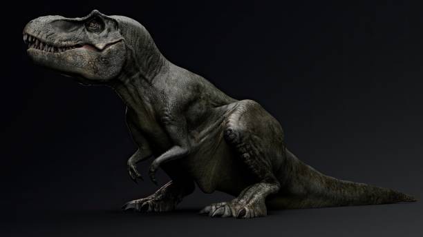istock Tyrannosaurus Rex Stan render of background. 3d rendering 1890580632
