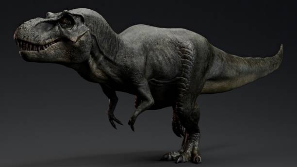 istock Tyrannosaurus Rex Stan render of background. 3d rendering 1890581160