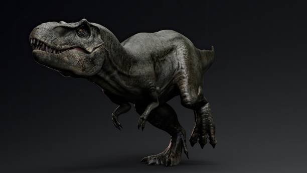 istock Tyrannosaurus Rex Stan render of background. 3d rendering 1890581687