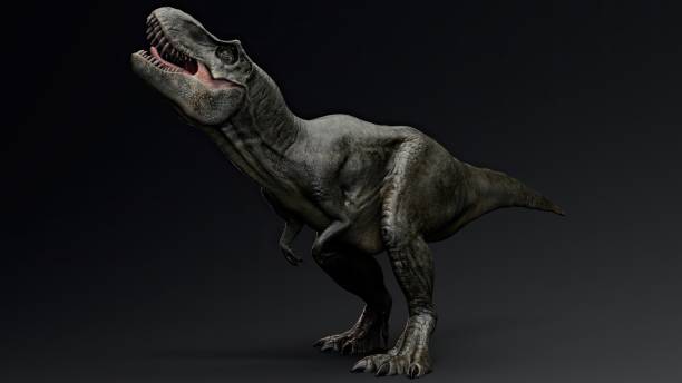 Tyrannosaurus Rex Stan render of background. 3d rendering