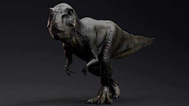 istock Tyrannosaurus Rex Stan render of background. 3d rendering 1890593104
