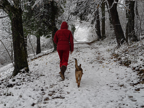 Woman in pink winter clothes walks through forest with her dog during snowstorm. Back view of a lady and doggo walking along snowy path while cold winter wind shakes freshly fallen snow from trees.