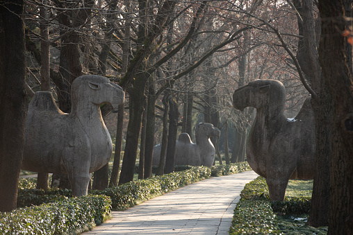 Travel records of the ancient city of Nanjing，Standing for hundreds of years, the stone statues welcome every cold wind and blizzard.