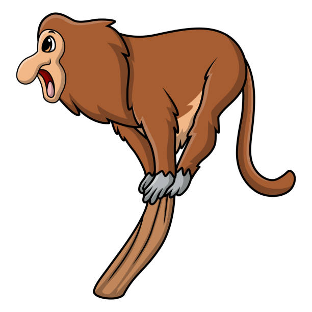 милая обезьяна с хоботком мультфильм на белом фоне - brown capuchin monkey stock illustrations