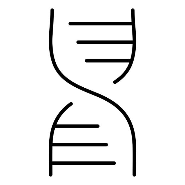 dna-symbol. vektorillustration isoliert auf weiß - dna helix helix model evolution stock-grafiken, -clipart, -cartoons und -symbole