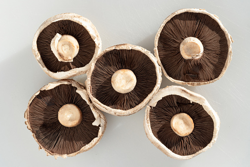 Organic mushrooms Portobello top side and bottom sides spores, caps and stalks over. Fresh Healthy Raw Ready To Cook Portobello Mushrooms, Flat Mushrooms, Top view, Space for text, Selective focus.