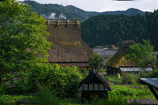 The Japanese traditional thatched roof house