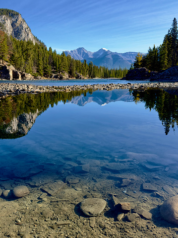 Wide shot of snowcapped mountains and pine trees reflected in Bow River, with mountains in the background and underwater rocks in the foreground
