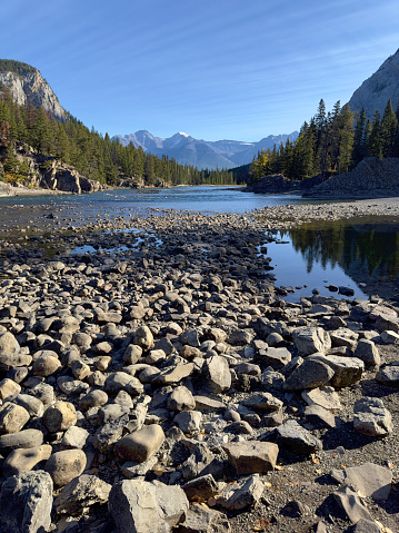 Wide shot of snowcapped mountains and pine trees in the background and rocks and Bow River in the near foreground
