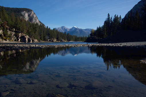 Medium shot of snowcapped mountains and pine trees reflected in Bow River, with mountains in the background and underwater rocks in the foreground