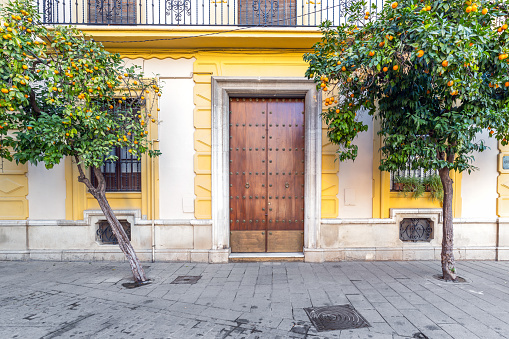 Old wooden door in old town of Seville
